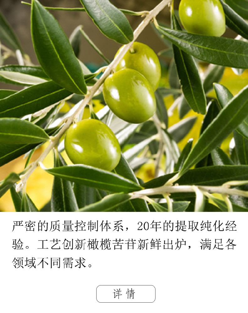 橄欖葉提取物