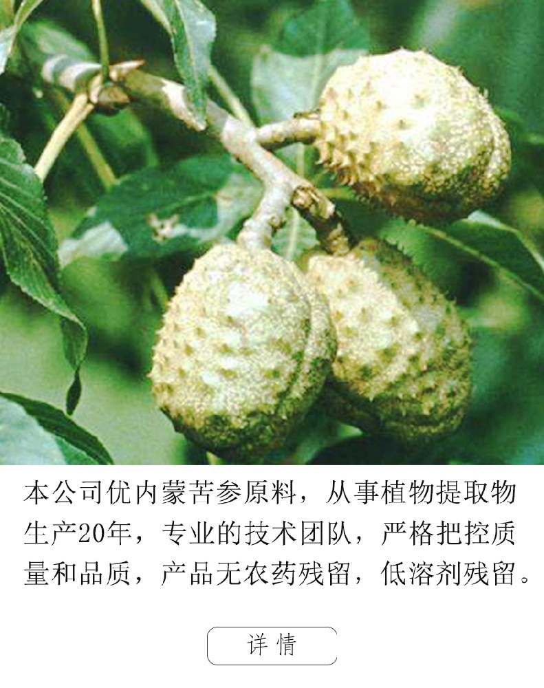 娑羅果提取物